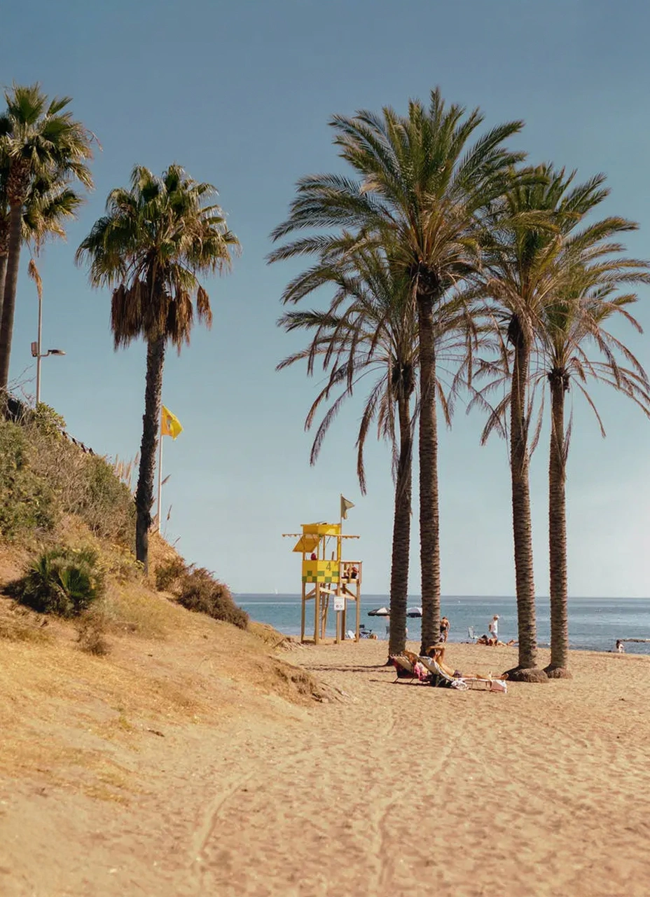 A placeholder still image for the third section of the soft.tech about page.